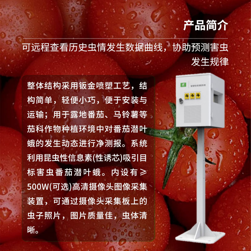 番茄潛葉蛾智慧性誘測報系統(tǒng)：高效誘蟲、殺蟲