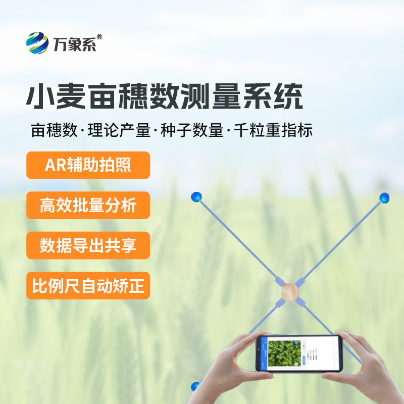 小麥畝穗數(shù)測量系統(tǒng)：麥田里的